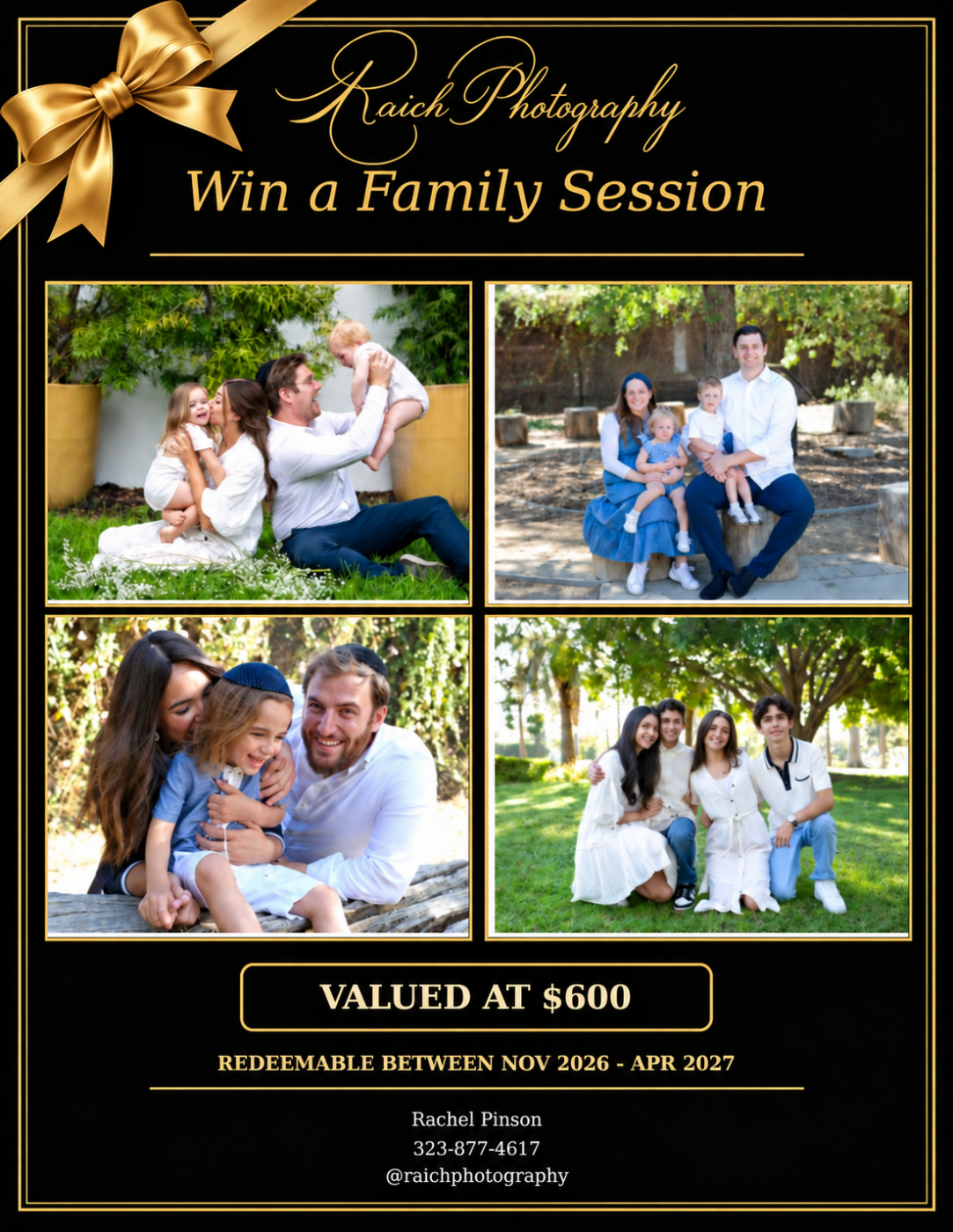 Family Photography Session auction prize poster